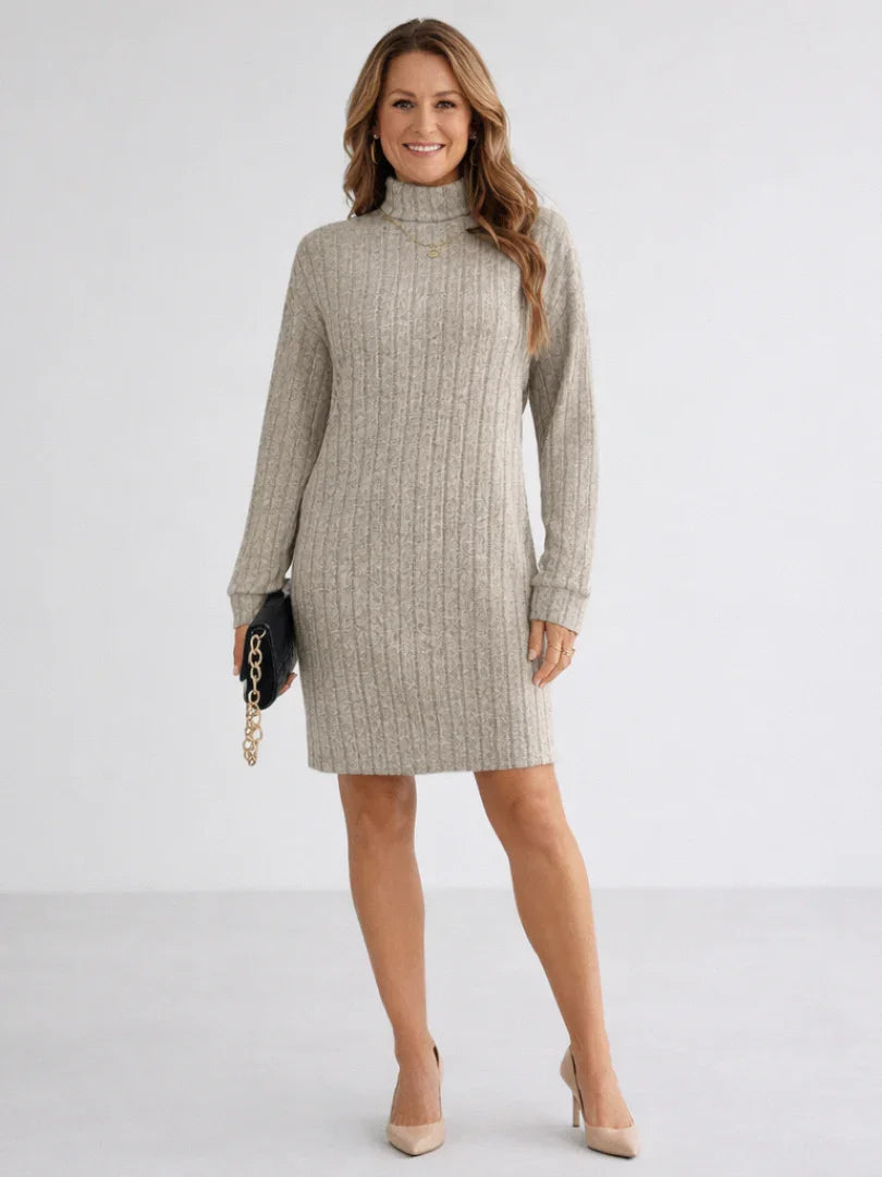 Margot | Ribbed Knit Turtleneck Dress