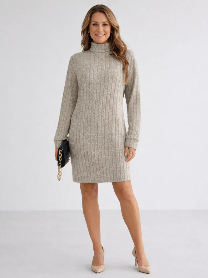 Margot | Ribbed Knit Turtleneck Dress